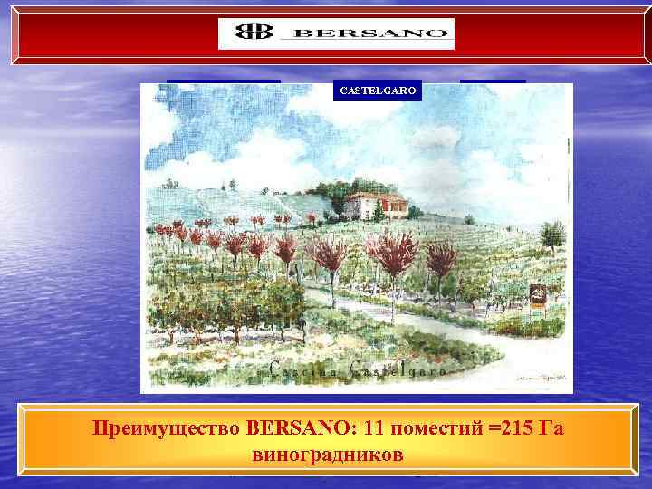 CREMOSINA GENERALA SAN MICHELE BADARINA PALLAVICINI CASTELGARO RAGGIO SERRADIVAGLIO MONTEOLIVO BUCCELLI PRATA Преимущество BERSANO: