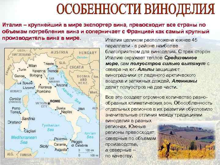 Италия – крупнейший в мире экспортер вина, превосходит все страны по объемам потребления вина
