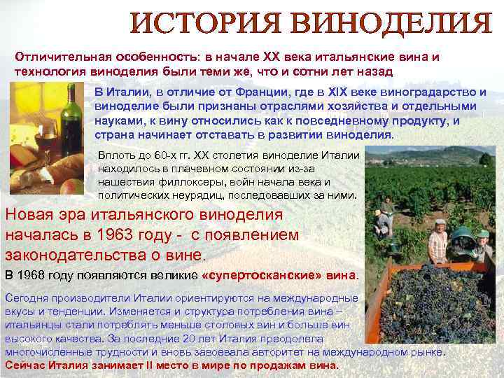 Отличительная особенность: в начале ХХ века итальянские вина и технология виноделия были теми же,