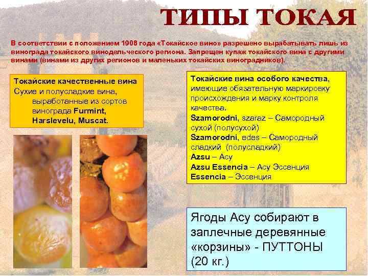 В соответствии с положением 1908 года «Токайское вино» разрешено вырабатывать лишь из винограда токайского