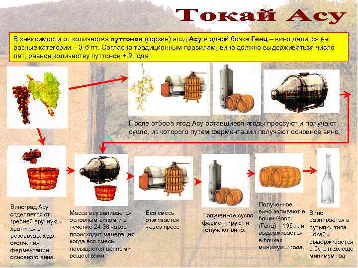 Вина Асу изготавливаются спуттонов (корзин) ягод Асу в одной бочке Генц –и основного вина,