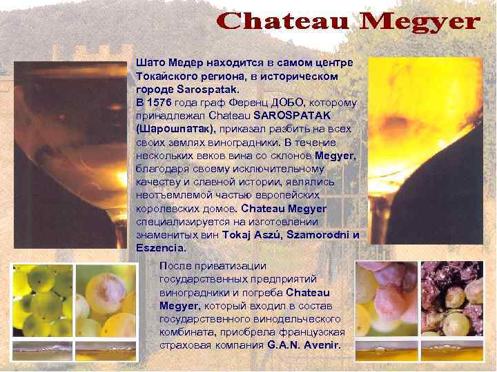 Шато Медер находится в самом центре Токайского региона, в историческом городе Sarospatak. В 1576