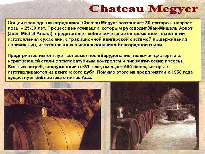 Общая площадь виноградников Chateau Megyer составляет 80 гектаров, возраст лозы – 25 -30 лет.