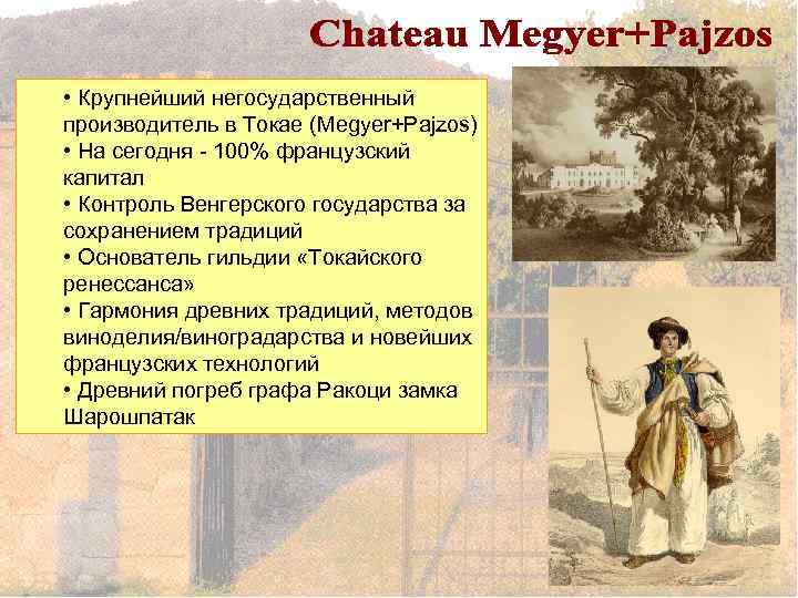  • Крупнейший негосударственный производитель в Токае (Megyer+Pajzos) • На сегодня - 100% французский