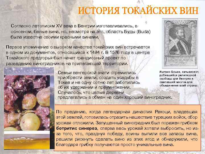 Согласно летописям XV века в Венгрии изготавливались, в основном, белые вина, но, несмотря на