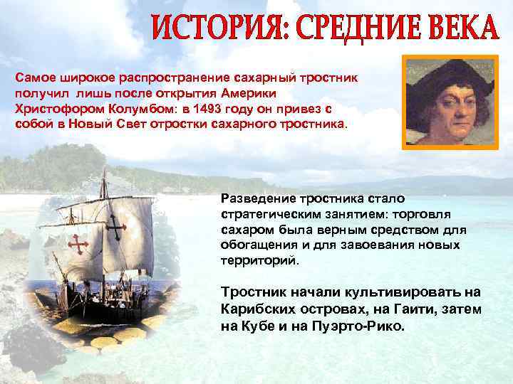 Самое широкое распространение сахарный тростник получил лишь после открытия Америки Христофором Колумбом: в 1493