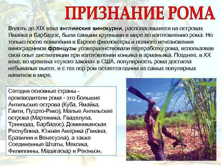 Вплоть до XIX века английские винокурни, располагавшиеся на островах Ямайка и Барбадос, были самыми