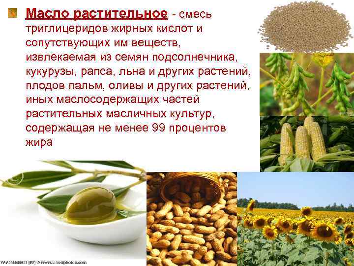 Масло растительное - смесь триглицеридов жирных кислот и сопутствующих им веществ, извлекаемая из семян