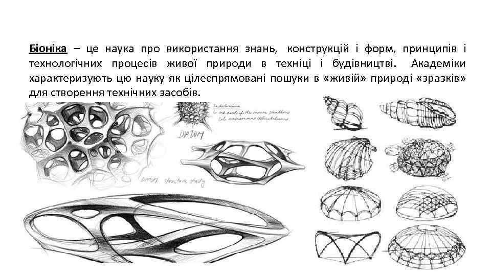 Біоніка – це наука про використання знань, конструкцій і форм, принципів і технологічних процесів