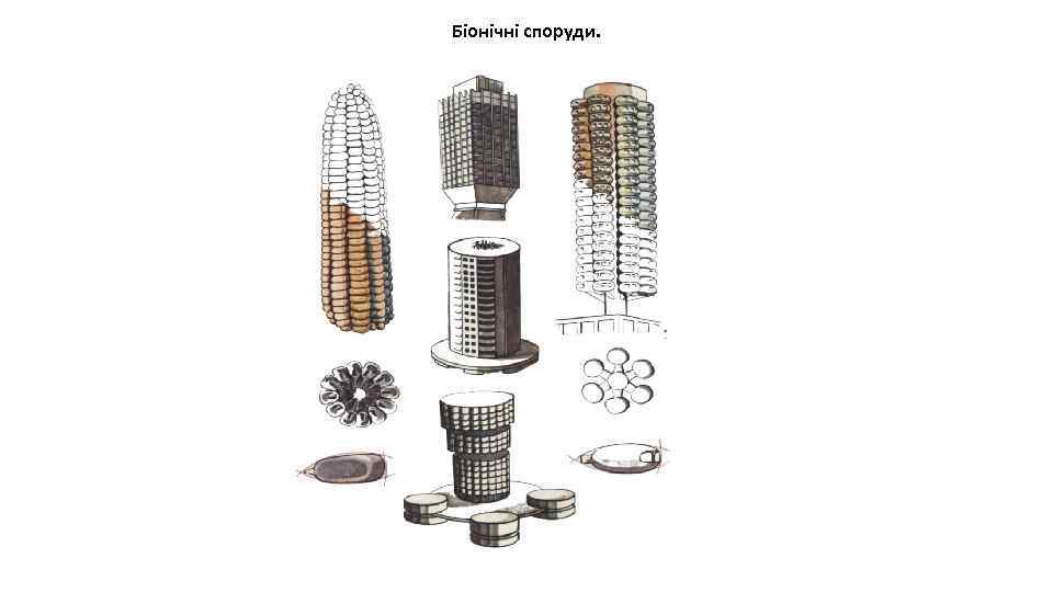 Біонічні споруди. 
