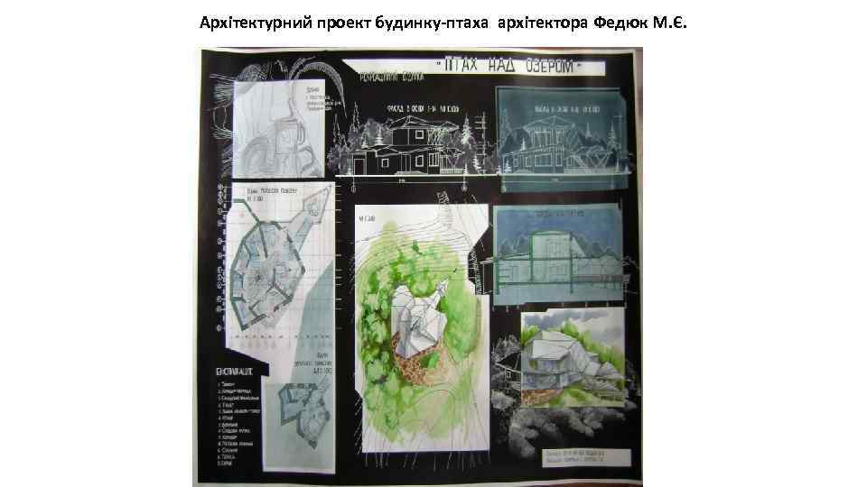 Архітектурний проект будинку-птаха архітектора Федюк М. Є. 