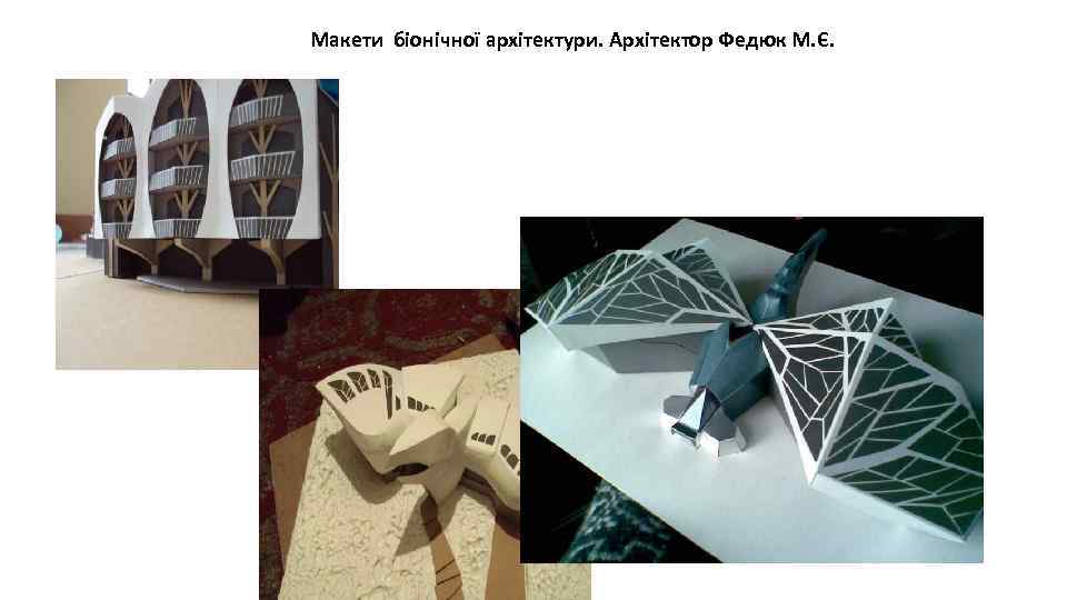 Макети біонічної архітектури. Архітектор Федюк М. Є. 