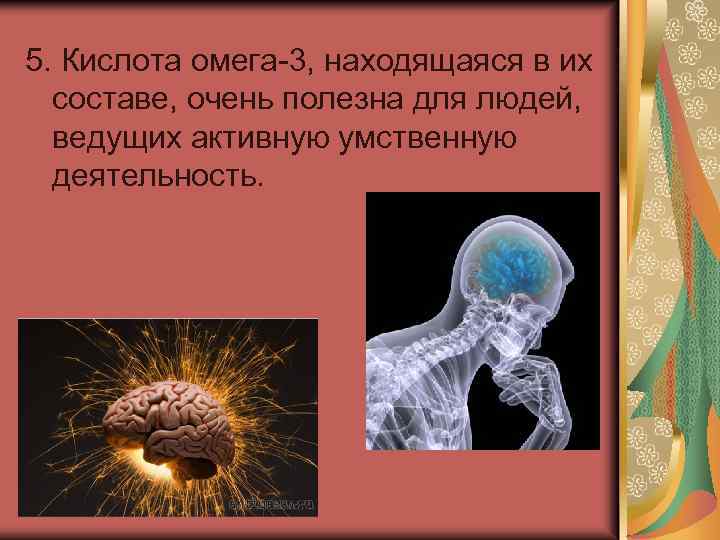 5. Кислота омега-3, находящаяся в их составе, очень полезна для людей, ведущих активную умственную