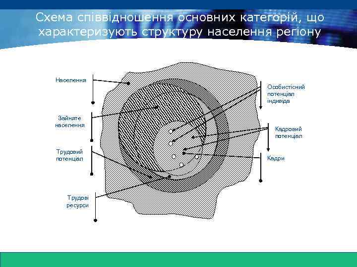 www. themegallery. com Схема співвідношення основних категорій, що характеризують структуру населення регіону Населення Зайняте