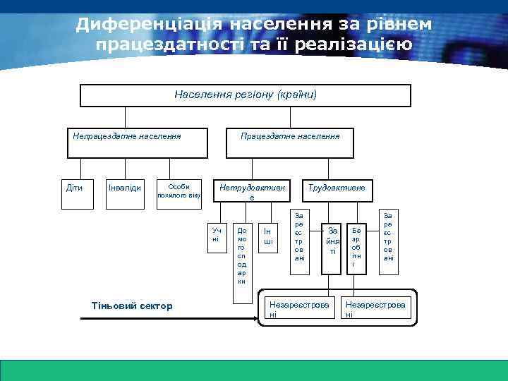 www. themegallery. com Диференціація населення за рівнем працездатності та її реалізацією Населення регіону (країни)