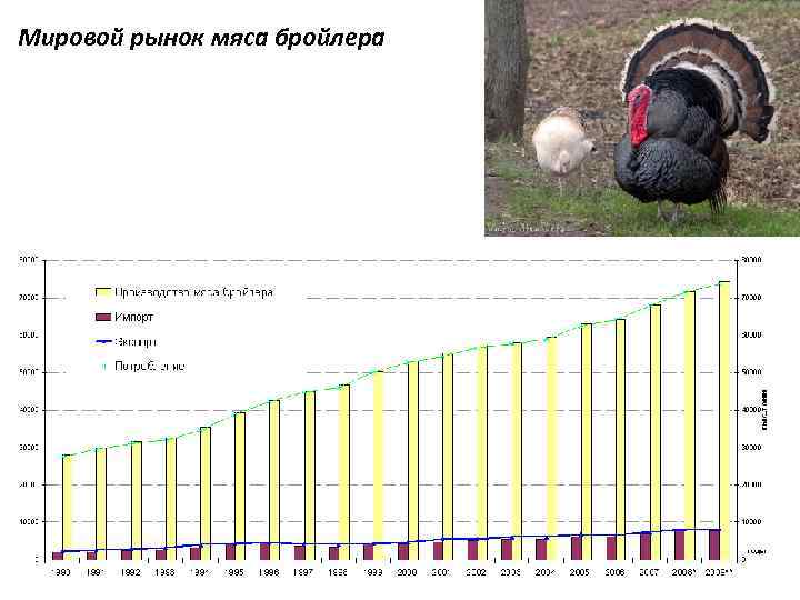 Мировой рынок мяса бройлера 