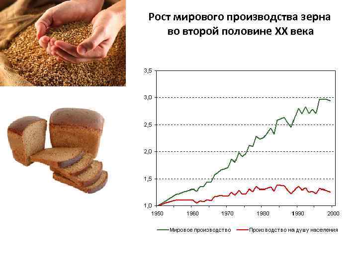 Мировые рынки сырьевых товаров. Мировой рынок продовольствия. График рынка сырья. Особенности рынков сырья и продовольствия. Мировой импорт продовольствия.