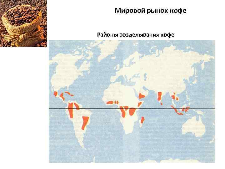Мировой рынок кофе Районы возделывания кофе 