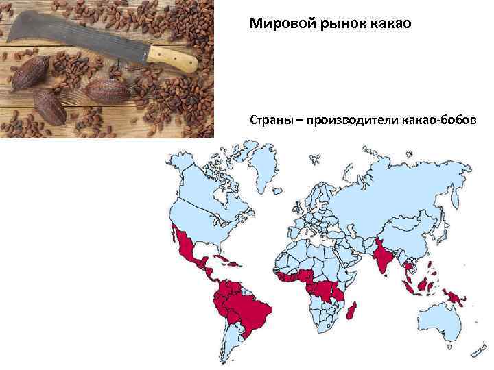 Экспортеры какао. Производство какао бобов по странам. Страны Лидеры по производству какао. Страны Лидеры по производству какао бобов. Крупнейшие производители какао в мире.