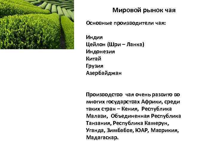 Мировой рынок чая Основные производители чая: Индия Цейлон (Шри – Ланка) Индонезия Китай Грузия