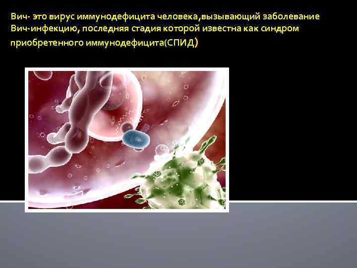 Вич- это вирус иммунодефицита человека, вызывающий заболевание Вич-инфекцию, последняя стадия которой известна как синдром