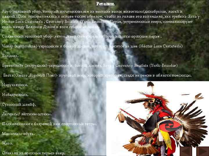 Регалии. Роуч- головной убор, который изготавливался из жестких волос животных: (дикобразов, лосей и оленей).