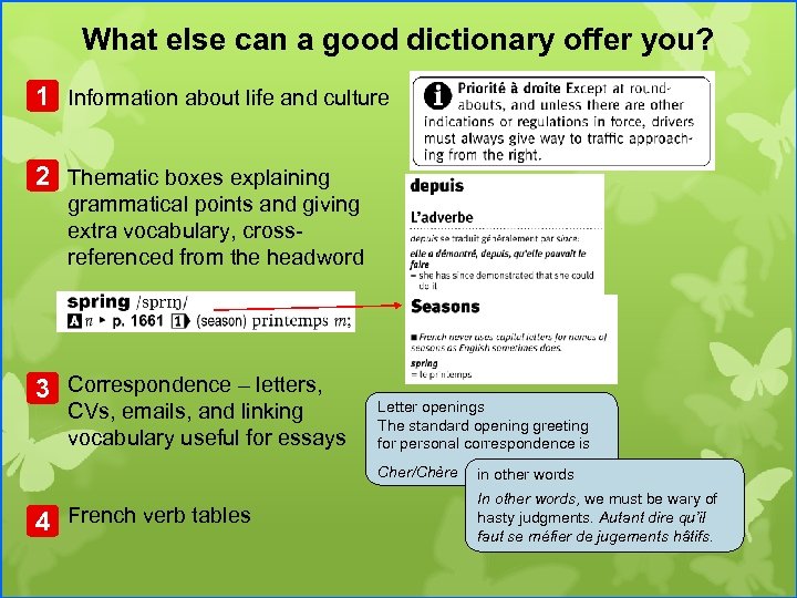 What else can a good dictionary offer you? 1 Information about life and culture
