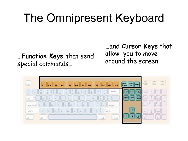 The Omnipresent Keyboard …Function Keys that send special commands… …and Cursor Keys that allow