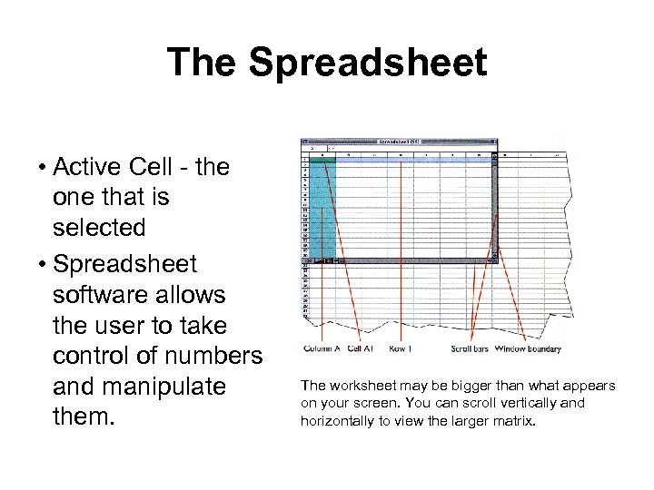 The Spreadsheet • Active Cell - the one that is selected • Spreadsheet software