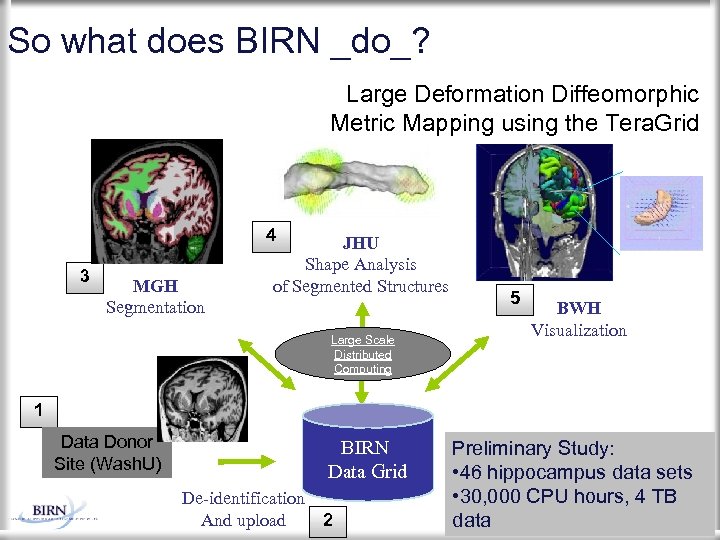 So what does BIRN _do_? Large Deformation Diffeomorphic Metric Mapping using the Tera. Grid