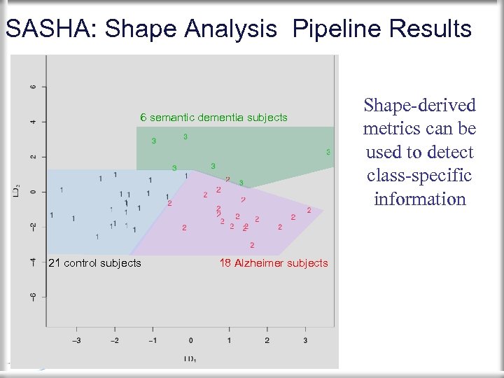 SASHA: Shape Analysis Pipeline Results 6 semantic dementia subjects 21 control subjects 18 Alzheimer