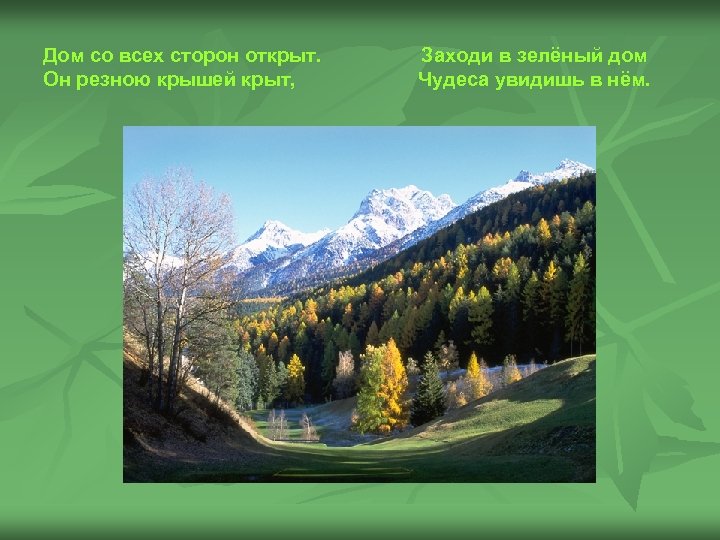 Дом со всех сторон открыт. Он резною крышей крыт, Заходи в зелёный дом Чудеса