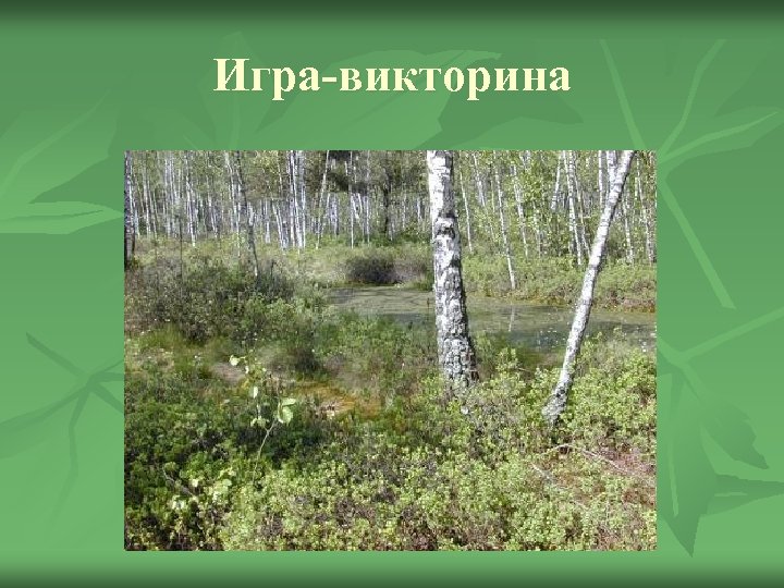 Игра-викторина 