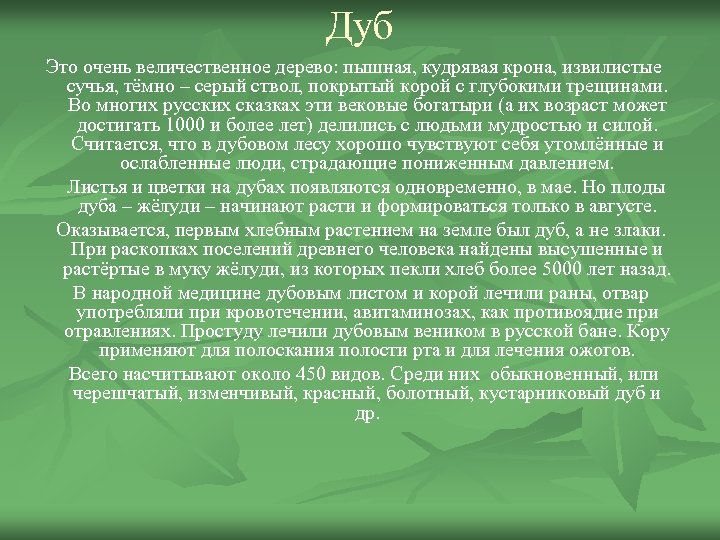 Дуб Это очень величественное дерево: пышная, кудрявая крона, извилистые сучья, тёмно – серый ствол,