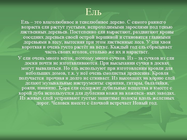Ель – это влаголюбивое и тенелюбивое дерево. С самого раннего возраста ели растут густыми,
