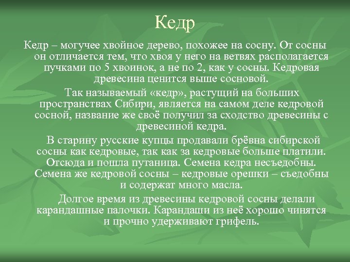 Кедр – могучее хвойное дерево, похожее на сосну. От сосны он отличается тем, что
