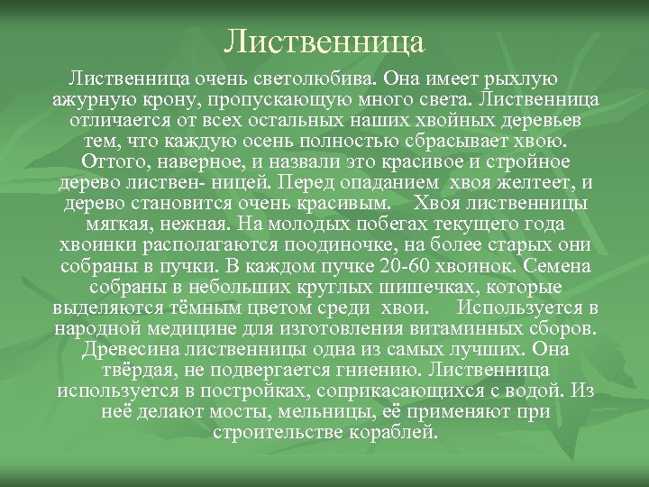 Лиственница очень светолюбива. Она имеет рыхлую ажурную крону, пропускающую много света. Лиственница отличается от