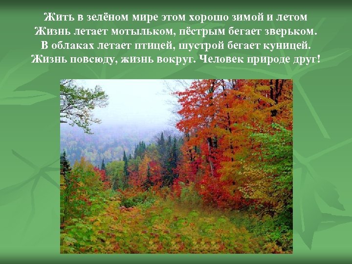 Жить в зелёном мире этом хорошо зимой и летом Жизнь летает мотыльком, пёстрым бегает