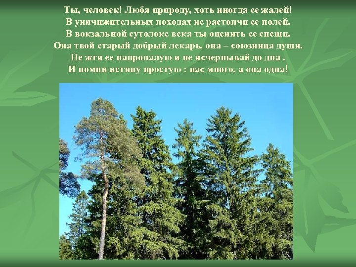 Ты, человек! Любя природу, хоть иногда ее жалей! В уничижительных походах не растопчи ее