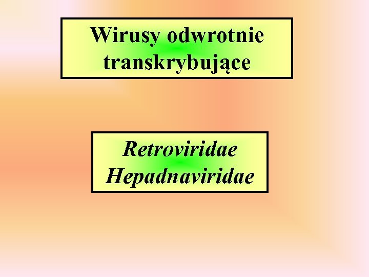 Wirusy odwrotnie transkrybujące Retroviridae Hepadnaviridae 