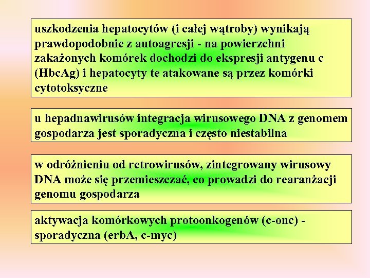 uszkodzenia hepatocytów (i całej wątroby) wynikają prawdopodobnie z autoagresji - na powierzchni zakażonych komórek