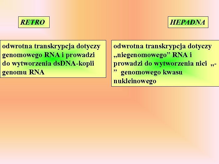 RETRO odwrotna transkrypcja dotyczy genomowego RNA i prowadzi do wytworzenia ds. DNA-kopii genomu RNA