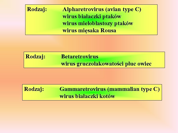 Rodzaj: Alpharetrovirus (avian type C) wirus białaczki ptaków wirus mieloblastozy ptaków wirus mięsaka Rousa