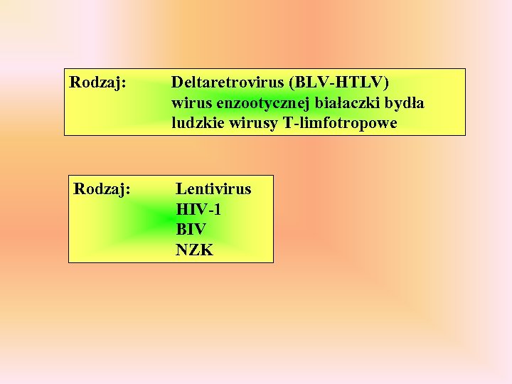 Rodzaj: Deltaretrovirus (BLV-HTLV) wirus enzootycznej białaczki bydła ludzkie wirusy T-limfotropowe Rodzaj: Lentivirus HIV-1 BIV