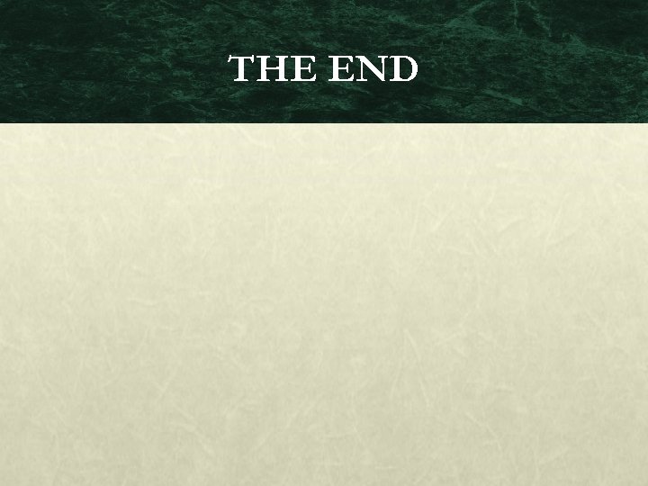 THE END 