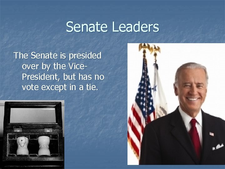 Senate Leaders The Senate is presided over by the Vice. President, but has no