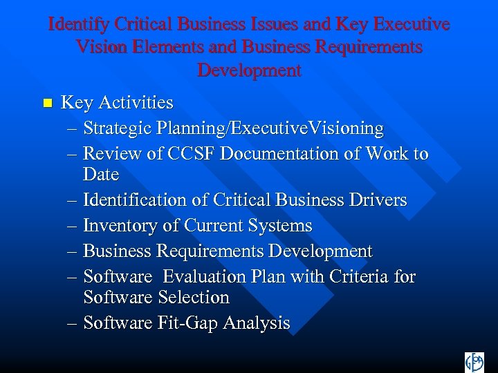 Identify Critical Business Issues and Key Executive Vision Elements and Business Requirements Development n