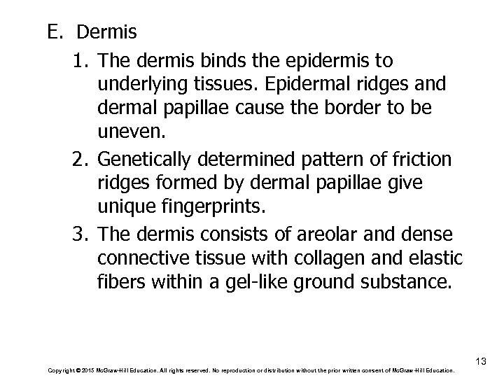 E. Dermis 1. The dermis binds the epidermis to underlying tissues. Epidermal ridges and