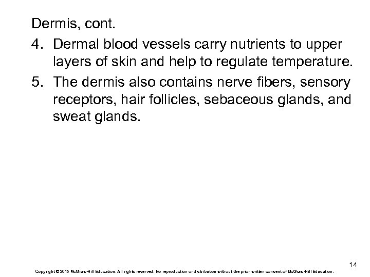 Dermis, cont. 4. Dermal blood vessels carry nutrients to upper layers of skin and