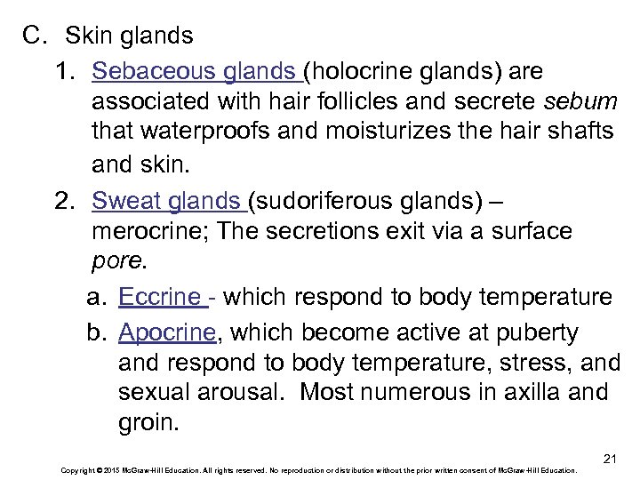 C. Skin glands 1. Sebaceous glands (holocrine glands) are associated with hair follicles and